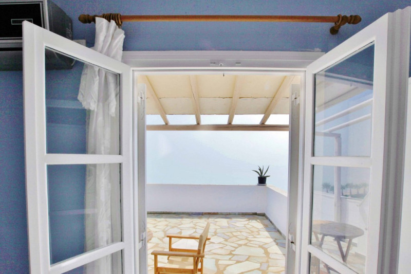 blue-dolphin-paros