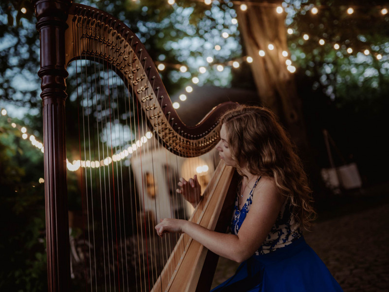 the-magic-of-the-harp
